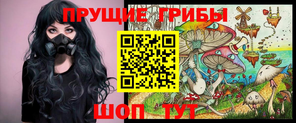 Псилоцибиновые грибы мухоморы Сланцы