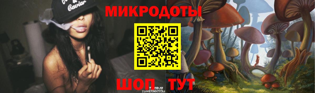 Галлюциногенные грибы Psilocybe  Вход с VPN  Сланцы 